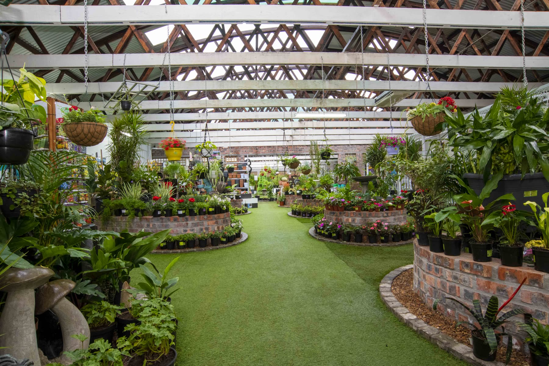 Inside the nursery, the green path between raised beds under the roof