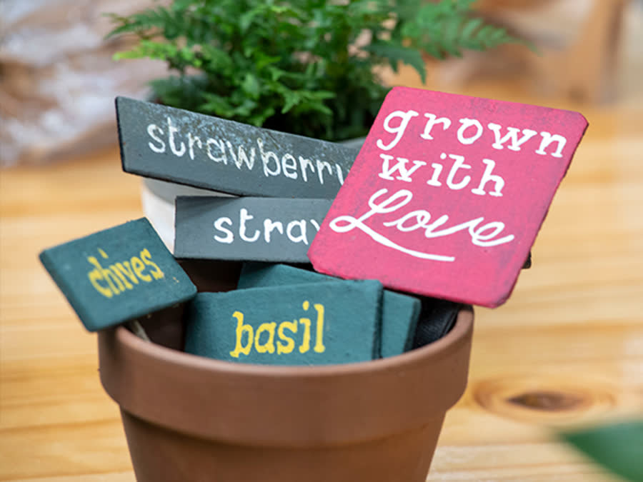 Hand-painted plant labels
