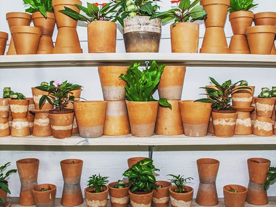 Terracotta pots on shelves